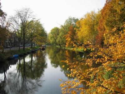 Singel