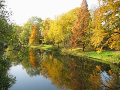 Singel i hstfarger
