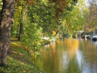 Singel